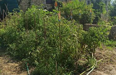 Casa Rural Ttipiaenea Landetxea - Foto 76