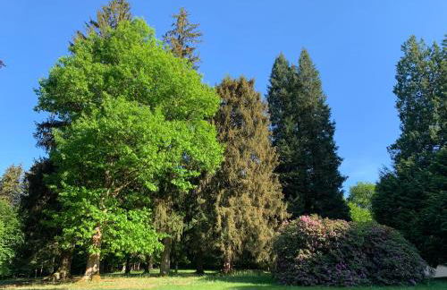 Landsitz Kammerburg - Foto 35