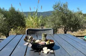 Το Σπίτι της Ελιάς - Foto 41