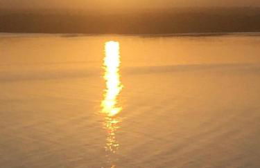 les mouettes - Foto 26