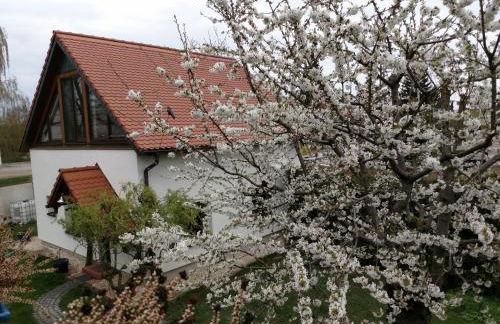 Zur alten Fahrschule - Foto 29