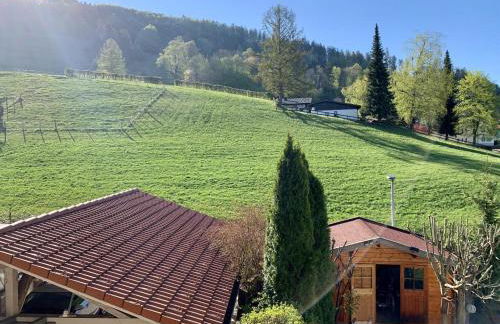 Sonnenhof - Ferienwohnung - Foto 45