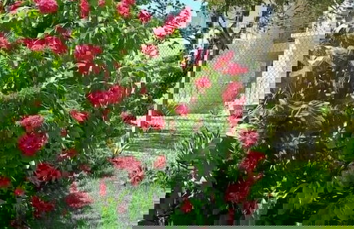 Apart Sol Nascente - Foto 64