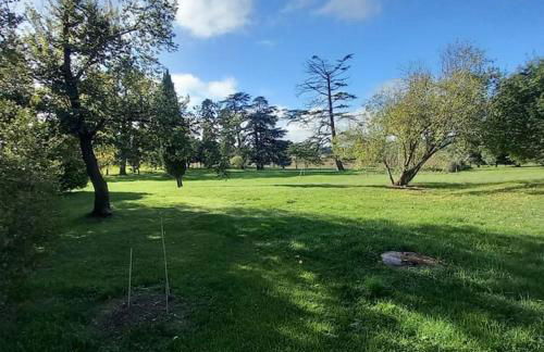 Château Tour du XIII siècle Gazaupouy - Photo 37