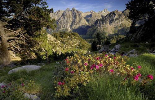 Casa Rogel - Foto 42