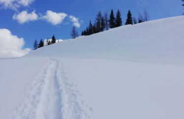 Cesa de Conesel - Foto 42