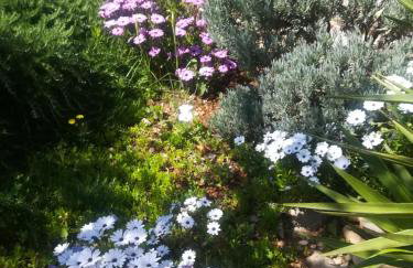 Kuća za odmor Maruška - Foto 24