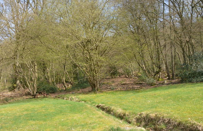 Cozy Cottage in Aywaille With Valley View - Photo 25