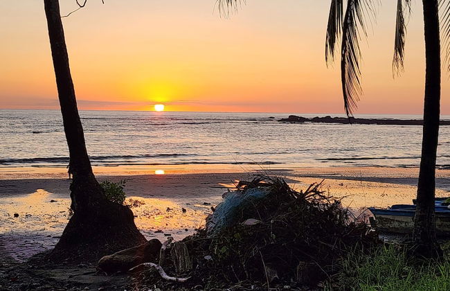 Casa Azules Jungle Villa 3 piscinas - Foto 14