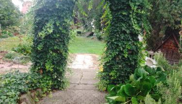 Gästehaus Brunhilde - Foto 3, Garden