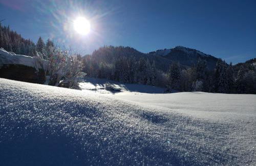 Chalet La Merlerie - Foto 25