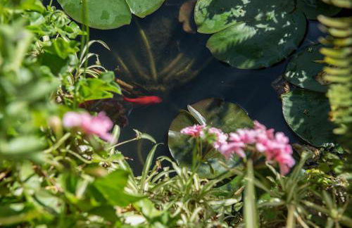 Villa Eleonas - Foto 52