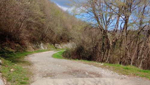 BAITA BELLAVISTA Affiliato Best-Incoming - Foto 4