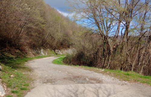 BAITA BELLAVISTA Affiliato Best-Incoming - Foto 4