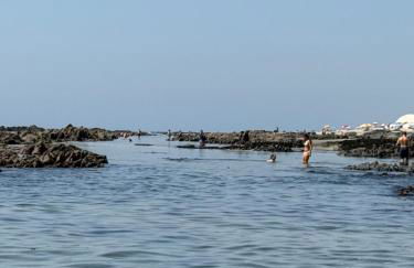 Condominio encantador, com piscina e vista mar - Ocean View Apartment - Photo 35