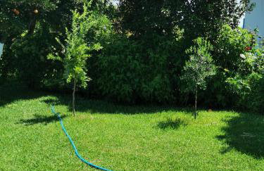 Kardiakafti Village - Foto 63