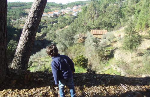 Casas da Encosta - Foto 38