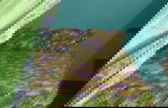 Berkey's Jungle Paradise - Photo 7