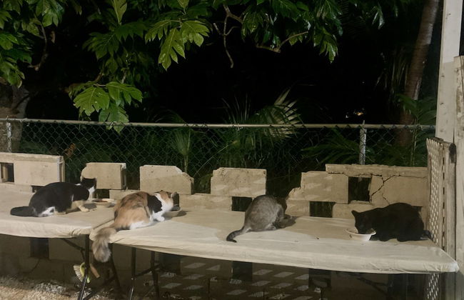 S3 BP Steps to Beach - Photo 37