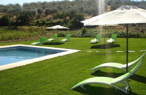 Quinta Rota d' Oliveira - Foto 1