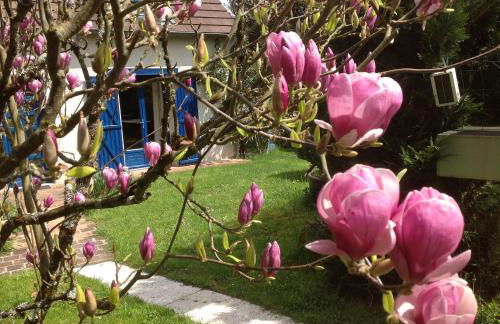 Au Coeur des Châteaux - Foto 15