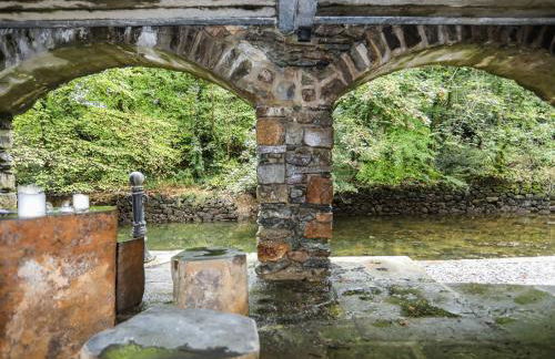 Melin y Coed - Foto 53