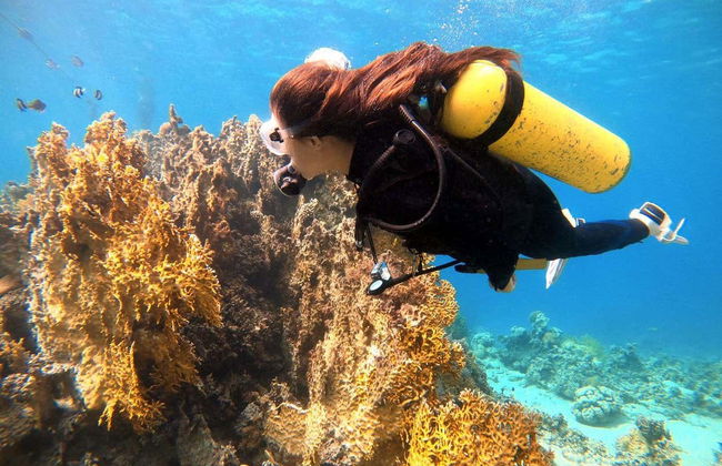 Baptême de plongée dans la mer Rouge - Photo 7