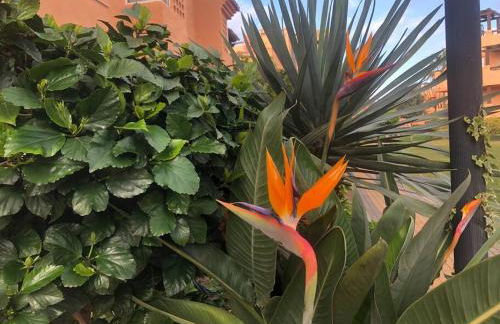 Schönes Penthouse mit Meerblick Pura Vida - Photo 30