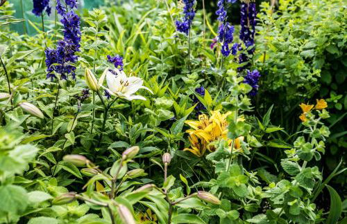 Nowe Miejsce Brzegi - Foto 6