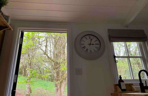 Cornwall Woodland Shepherd's Hut with Hot Tub - Deirdres Hut - Foto 53