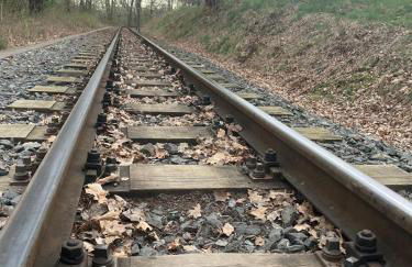 FeWo "Waldblick" und "Gartenblick" mit Pool und Kinderspielplatz - Foto 37