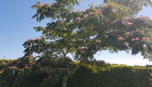 Chez Papi à Lascaux - Foto 5