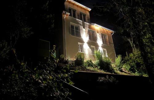 Zur Donauinsel - Foto 10