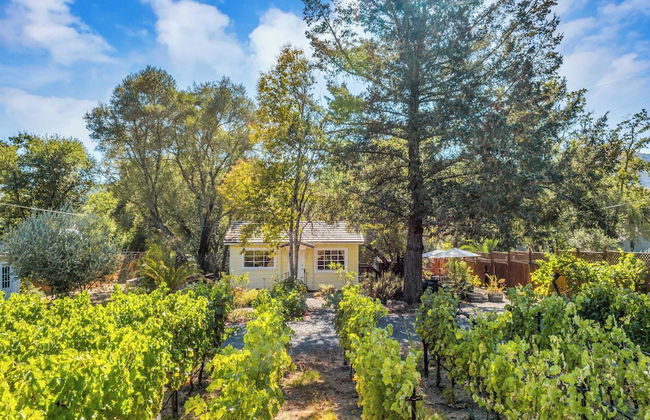 Grapevine Cottage by Avantstay Hobby Vineyard + Firepit - Foto 39