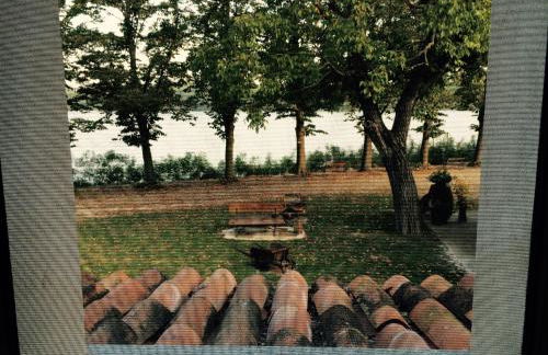 La Finestra sul Po - Agriturismo - Foto 90