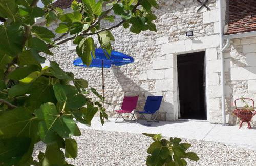 Gîte de charme proche du ZooParc de Beauval - 2 terrasses, jardin, cheminée, clim, parking gratuit - FR-1-491-408 - Foto 4