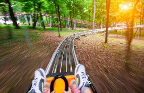 VILLA WALDHAUS WILLINGEN SAUERLAND - Charming Villa near Forest for 12 Guests with Huge Garden - Nearby Winter Sports Area with Ski Slope - Hiking and Nature - Foto 20