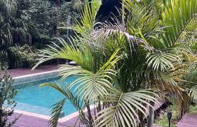 Pool amid the green - Foto 20