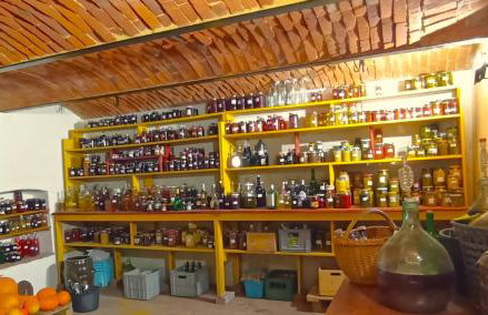 Dom Pod Złotym Bażantem - Foto 35