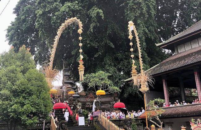 Dana's Place Private Villa - Photo 43