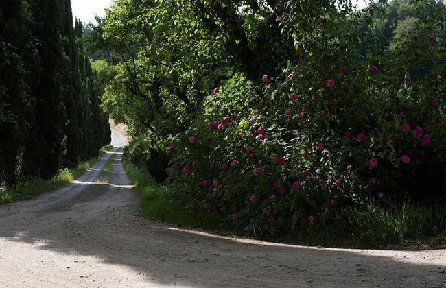 Agriturismo La Topaia - Foto 30