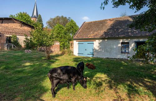 Ferienwohnung im Landschloss - Foto 29