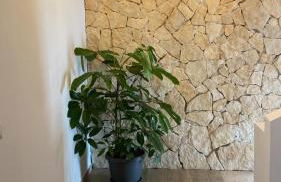 CasadiCampo - Foto 63