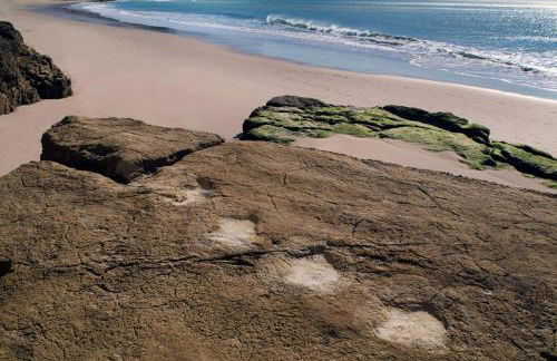 205 Casa Cactus - Foto 20