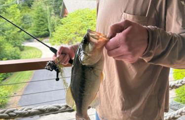 Octagon House - Foto 58