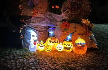 Ruhiges Wohlfühlzimmer auf dem Pferdehof Gut Greppin - mit Kochnische, WLAN & kostenlosem Parken - Foto 11