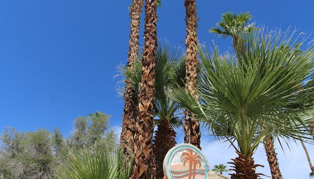 Entrada (vista interior)