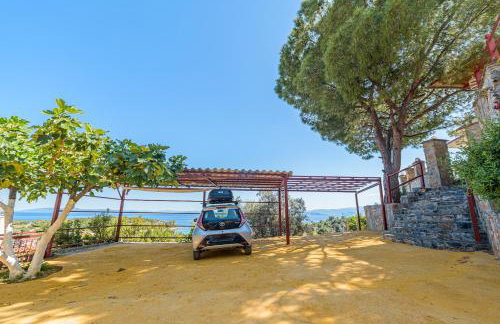 Alexander's - Foto 15