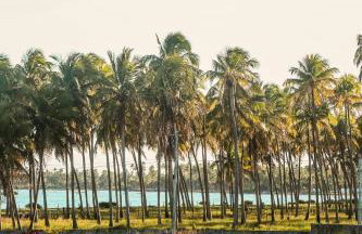 Casa Seriguela - Praia do Patacho - Rota Ecológica dos Milagres - Foto 40
