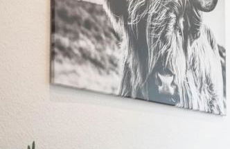 Casa Aguila - Viernheim - Foto 32